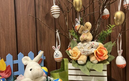 A tradição alemã em sua casa!