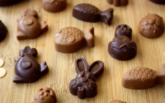 7 de julho: Dia Mundial do Chocolate!